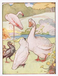 Og ganderen forstod hende ikke, illustration fra "Johnny Crow